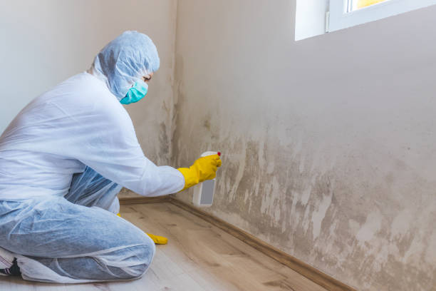 Licensed Crawl Space Mold Removal service in Greencastle, PA - WQB Mold Removal