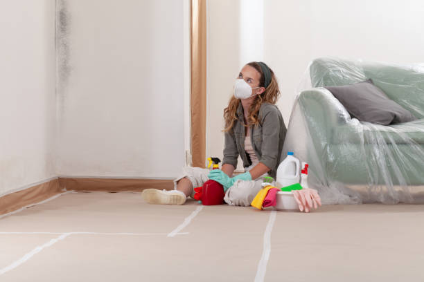 Reliable Crawl Space Mold Removal contractor in Greencastle, PA by WQB Mold Removal